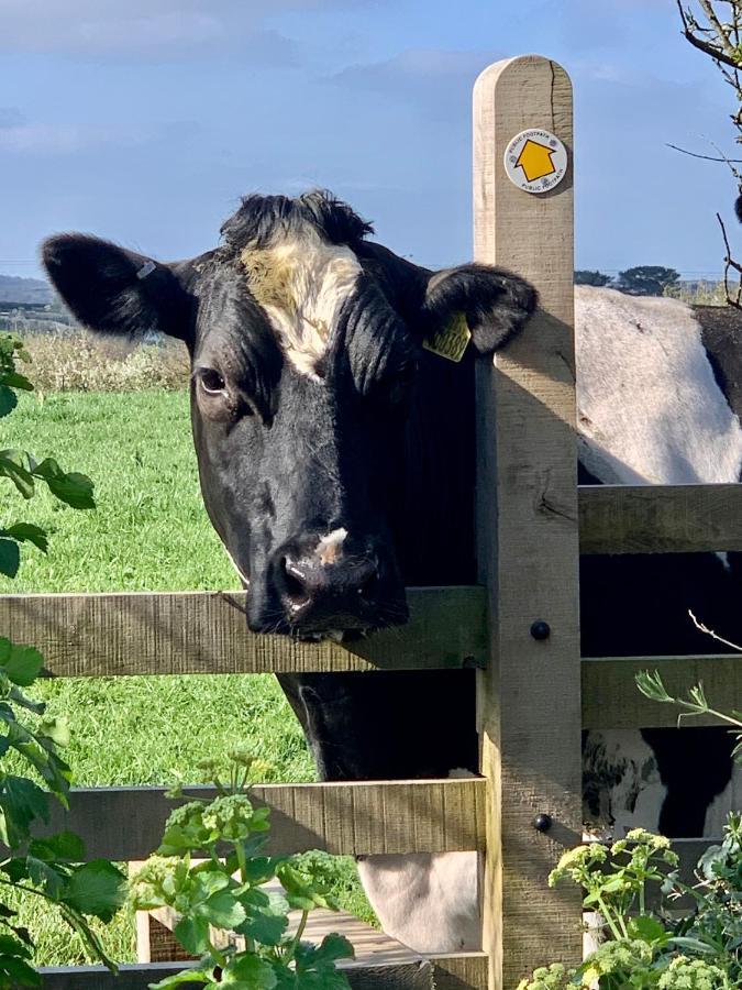 Gwel An Heyl, Padstow Villa Little Petherick Екстериор снимка